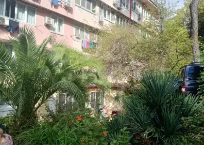 Студия, 15.2 м² - фото 1