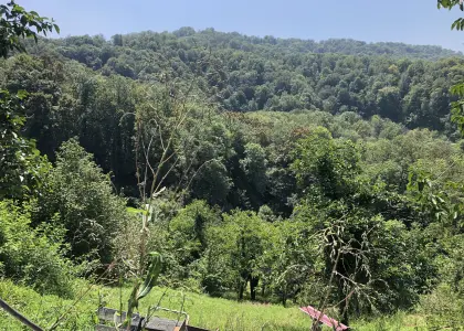 Земельный участок, 36 соток - фото 1