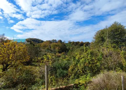 Большой участок - фото 1