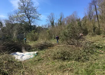 Земельный участок, 4.7 сотки - фото 1