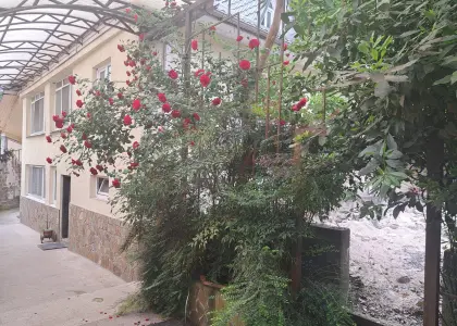 Дом, 260 м² - фото 1