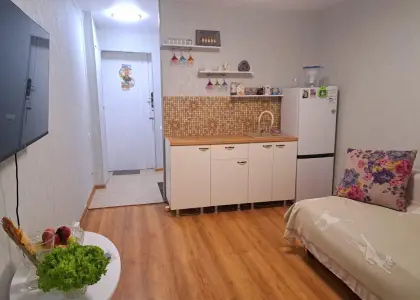 1-комнатная квартира, 23.5 м² - фото 1