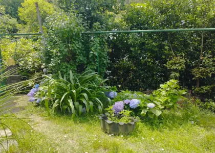 Земельный участок, 11 соток - фото 1