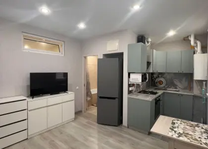 1-комнатная квартира, 33 м² - фото 1