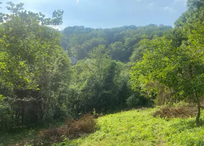 Земельный участок, 15 соток - фото 1