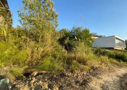 Земельный участок, 10 соток - фото 1