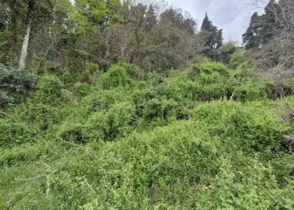 Земельный участок, 15 соток - фото 1