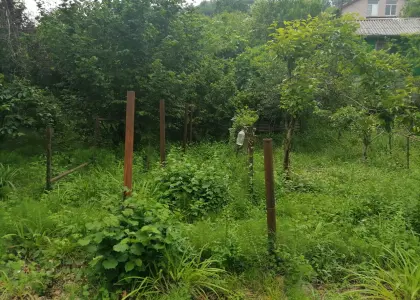 Земельный участок, 6 соток - фото 1