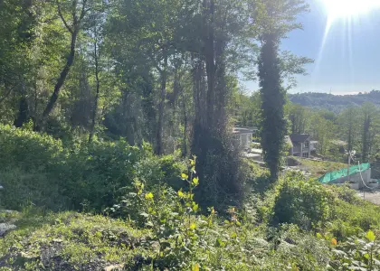 Земельный участок, 29 соток - фото 1