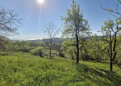 Земельный участок, 25 соток - фото 1