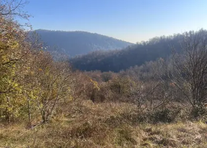 Земельный участок, 50 соток - фото 1