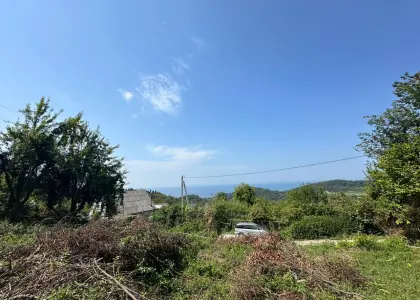 Земельный участок, 7 соток - фото 1