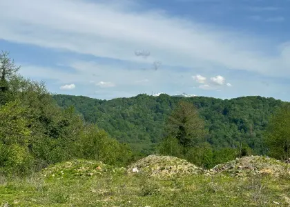 Земельный участок, 32 сотки - фото 1