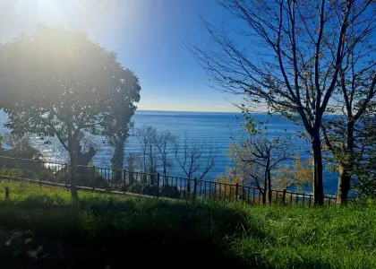 Земельный участок, 75 соток - фото 1