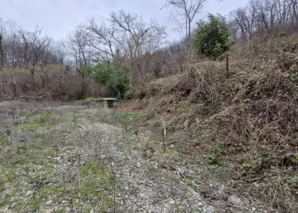 Земельный участок, 5.9 соток - фото 1