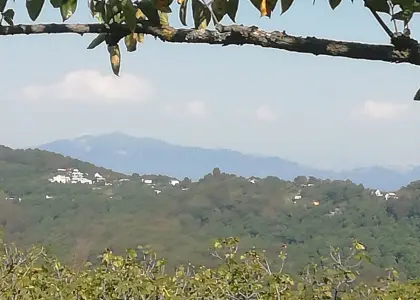 Земельный участок, 35.19 соток - фото 1