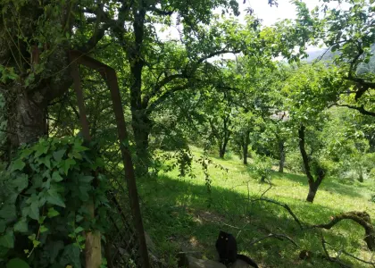 Земельный участок, 7 соток - фото 1