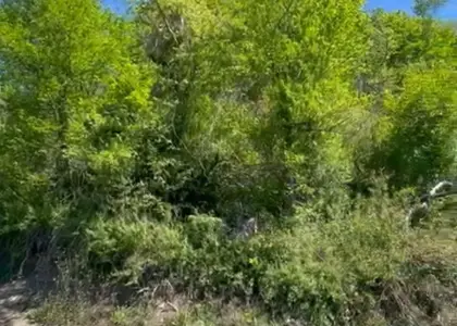 Земельный участок, 6 соток - фото 1