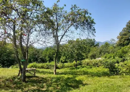 Земельный участок, 5.29 соток - фото 1