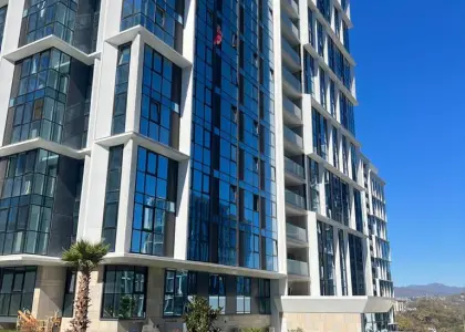 Студия, 24.3 м² - фото 1