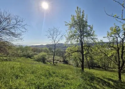 Земельный участок, 5 соток - фото 1