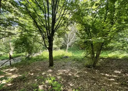 Земельный участок, 12 соток - фото 1