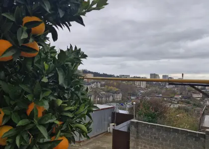 Земельный участок, 9.1 соток - фото 1