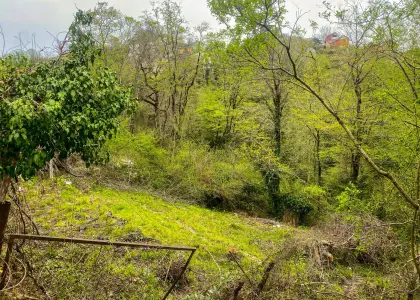 Земельный участок, 4.65 сотки - фото 1