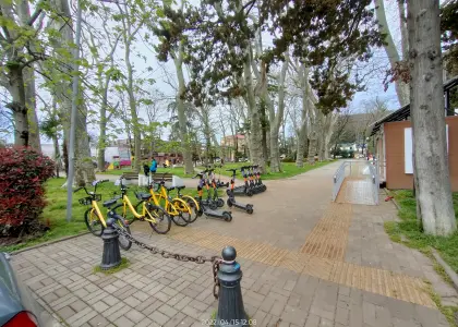 Участок у моря - фото 1