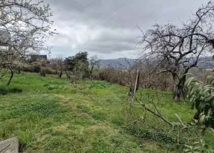 Земельный участок, 65 соток - фото 1