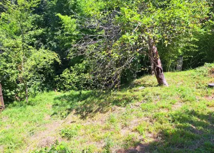 Земельный участок, 10 соток - фото 1