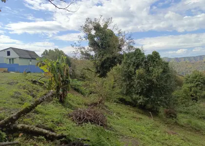 Земельный участок, 4.1 сотки - фото 1