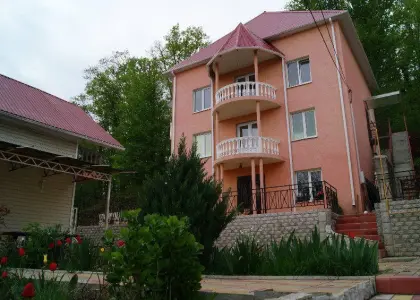 Дом, 400 м² - фото 1