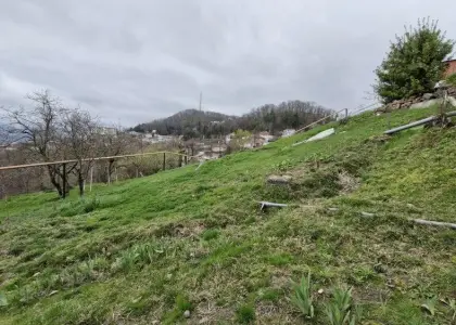 Земельный участок, 100 соток - фото 1