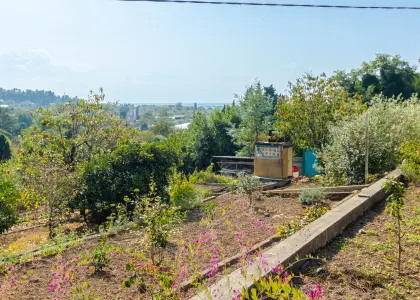 Земельный участок, 6.43 соток - фото 1