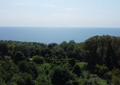 Земельный участок, 12 соток - фото 1