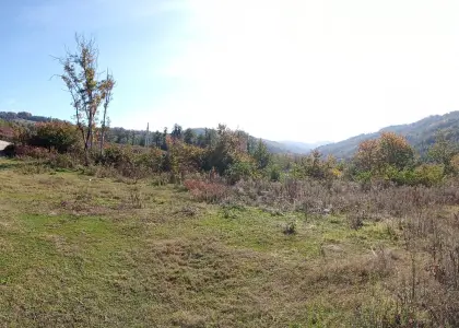 Земельный участок, 35 соток - фото 1