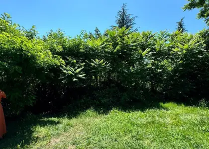 Земельный участок, 45 соток - фото 1