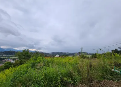 Земельный участок, 34 сотки - фото 1