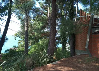 Земельный участок, 20 соток - фото 1