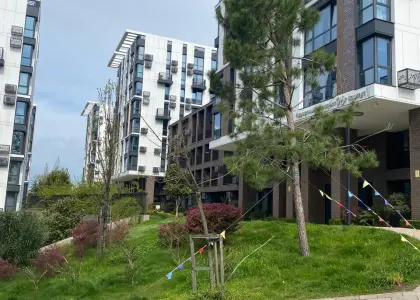 1-комнатная квартира, 30 м² - фото 1