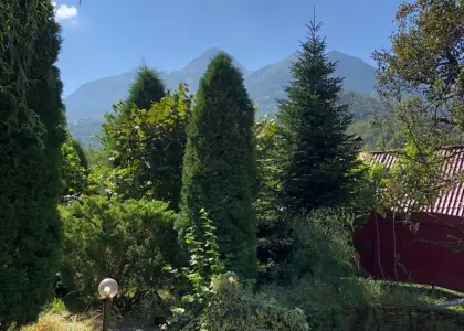 Земельный участок, 16.5 соток - фото 1