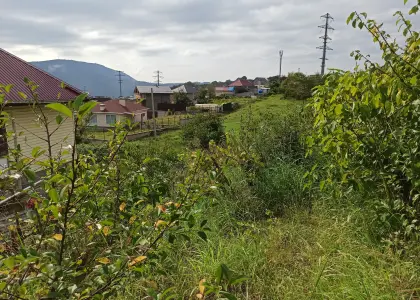 Земельный участок, 5 соток - фото 1