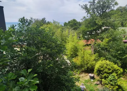 Земельный участок, 8 соток - фото 1