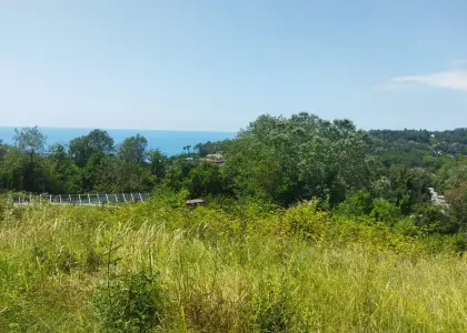 Участок в Сочи! - фото 1