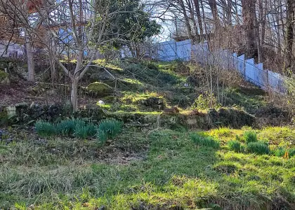 Земельный участок, 20 соток - фото 1