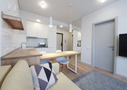 1-комнатная квартира, 30 м² - фото 1