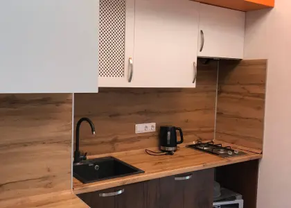 1-комнатная квартира, 28.8 м² - фото 1