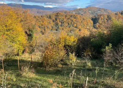 Земельный участок, 10 соток - фото 1