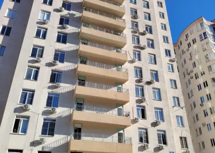 Студия, 23.6 м² - фото 1